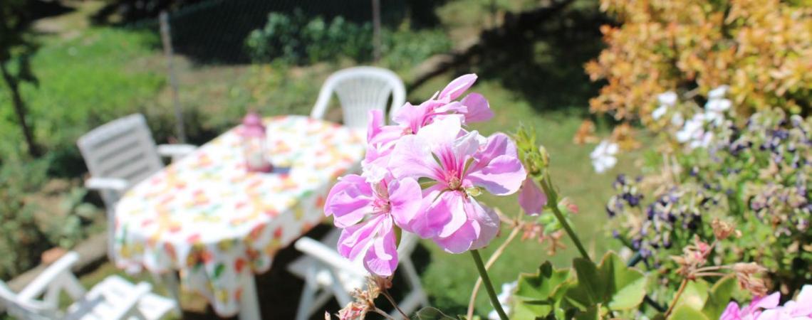 B&B Via Roma Cesate Екстериор снимка